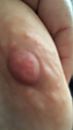 Close up, foto 640x1136, 10 reacties, 58 stemmen