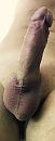 Closeup, foto 307x773, 1 reacties, 2 stemmen