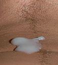 Cream, foto 700x789, 1 reacties, 6 stemmen