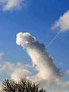 Cumulus Erectus, foto 226x297, 2 reacties, 3 stemmen