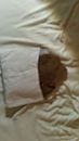 De brievenbus, foto 1836x3264, 0 reacties, 0 stemmen