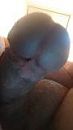 De duitse helm ;-), foto 90x160, 1 reacties, 5 stemmen