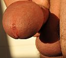 De eerste druppel, foto 1116x988, 0 reacties, 3 stemmen