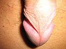 Detail, foto 2272x1704, 3 reacties, 11 stemmen