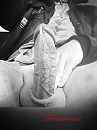 Driving in my car..., foto 960x1280, 1 reacties, 20 stemmen