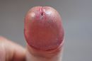 EIKEL...., foto 4000x2662, 0 reacties, 1 stemmen