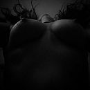 Een dame met wilde haren, foto 600x600, 34 reacties, 161 stemmen