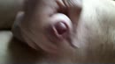 Eerste filmpje, film 00:00:00, 21 reacties, 87 stemmen