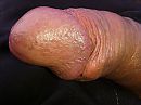 Eikel closeup, foto 2560x1920, 2 reacties, 4 stemmen