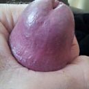 Eikel, foto 256x256, 1 reacties, 1 stemmen