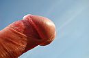 Eikel, foto 1000x667, 5 reacties, 15 stemmen