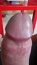 Eikel, foto 1836x3264, 0 reacties, 5 stemmen