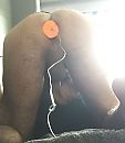 Even onder de lader, foto 899x1032, 0 reacties, 4 stemmen