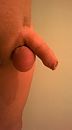 , foto 1456x2592, 1 reacties, 4 stemmen
