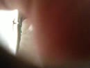 Ff rukken, film 00:00:00, 4 reacties, 5 stemmen