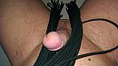 Flogger, foto 2688x1520, 0 reacties, 3 stemmen