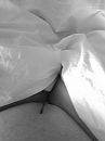 Gedoucht, geschoren...., foto 960x1280, 13 reacties, 56 stemmen