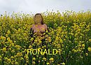 Ge(i)le pracht., foto 2318x1667, 11 reacties, 39 stemmen