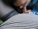Geile trav, foto 4000x3000, 20 reacties, 72 stemmen