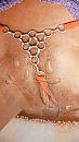 Geilen op Tinnie-babe, foto 2251x4000, 2 reacties, 4 stemmen