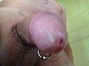 Geringd, foto 640x480, 5 reacties, 10 stemmen