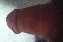 Gewoon..., foto 720x486, 0 reacties, 4 stemmen