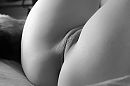 Glad en zacht, foto 3888x2592, 17 reacties, 71 stemmen