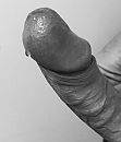Goedemorgen, foto 1964x2291, 4 reacties, 12 stemmen