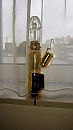 Golden toyboy, foto 1152x2048, 3 reacties, 22 stemmen