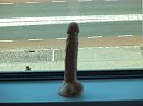 Groeit en bloeit...., foto 4000x3000, 3 reacties, 22 stemmen