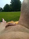 Heerlijk dat mooie weer......, foto 97x130, 0 reacties, 3 stemmen