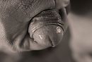 Heerlijk hard ...., foto 1588x1080, 0 reacties, 9 stemmen