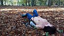 Herfst, foto 768x432, 26 reacties, 141 stemmen