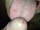 Het komt, foto 2222x1666, 11 reacties, 72 stemmen