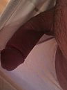 Hij wil eruit, foto 2448x3264, 0 reacties, 0 stemmen
