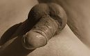 Hmmm ...., foto 1610x1020, 1 reacties, 9 stemmen