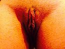 Hmmmm, foto 1280x960, 17 reacties, 88 stemmen