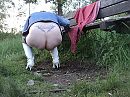 Hoge nood, foto 4000x3000, 10 reacties, 90 stemmen