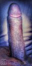 Home alone...., foto 1606x3225, 1 reacties, 6 stemmen