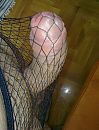 I want to break free!, foto 750x980, 5 reacties, 23 stemmen