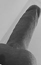 Ideeen?, foto 449x702, 0 reacties, 0 stemmen