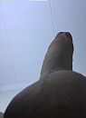 Ideeen??, foto 362x495, 0 reacties, 1 stemmen
