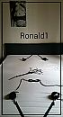 Iemand gaat het spannend...., foto 2189x4000, 10 reacties, 38 stemmen