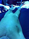 Iets minder ontspannen, foto 960x1280, 0 reacties, 1 stemmen
