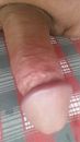 Ik vond nog wat op de plank, foto 2250x4000, 2 reacties, 5 stemmen
