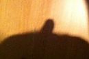 It's hot in the shade, foto 321x213, 0 reacties, 0 stemmen