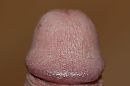 Knop van Rob, foto 3888x2592, 2 reacties, 2 stemmen
