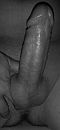lekker!!, foto 225x485, 29 reacties, 46 stemmen