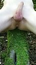 Lekker geil, foto 2250x4000, 1 reacties, 7 stemmen