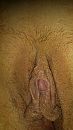 Lekker klitje, foto 2250x4000, 1 reacties, 6 stemmen